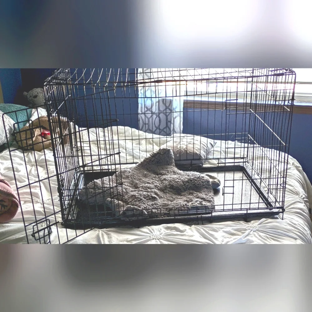 Extra large dog kennel